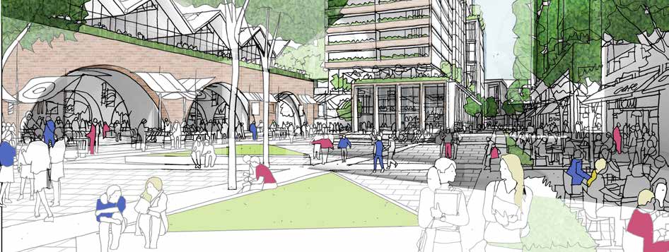 Crosstree.EdmontonGreen.Boards.Draft3.20.11